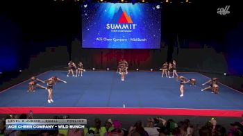 ACE Cheer Company - Wild Bunch [2026 L2 Junior - Small Prelims] 2026 The Summit