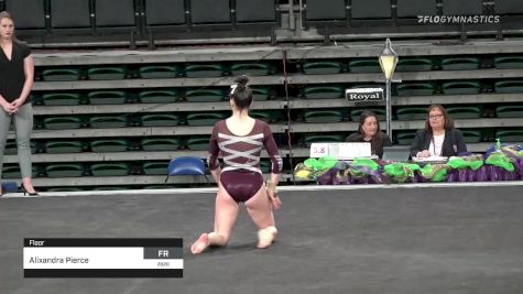 Alixandra Pierce - Floor