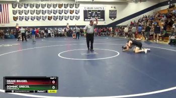 138 lbs Cons. Semi - Drake Brasiel, Aurora vs Dominic Grecol, Strongsville