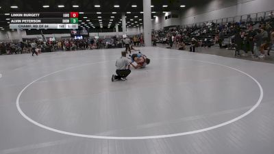 165 lbs Champ. Rd Of 64 - Linkin Burgett, Lake Gibson High School Wrestling vs Alvin Peterson, Somerset High School Wrestling