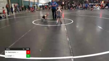 46 lbs Consolation - Mason Hammons, Fremont Wrestling Club vs Cole Axtell, Fox Fit
