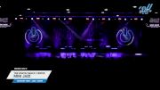 The Vision Dance Center - Mini Jazz [2024 Mini - Jazz - Large Day 2] 2024 WSF Grand Nationals