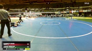 149 lbs Semis & Wb (16 Team) - Garrett Good, Liberty vs Aaron Briscoe, Centenary University