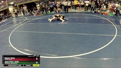 102 lbs Quarterfinal - Brexten Lamb, Cougars Wrestling vs Esiah Rios, Idaho Gold