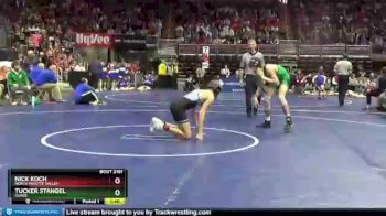 2 lbs Quarterfinal - Tucker Stangel, Osage vs Nick Koch, North Fayette Valley