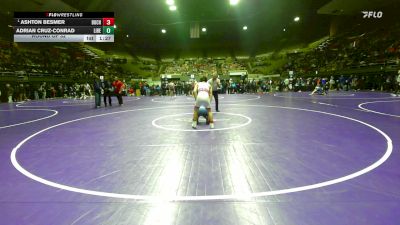 132 lbs Round Of 32 - Ashton Besmer, Buchanan vs Adrian Cruz-conrad, Liberty