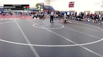 139 lbs Champ. Round 1 - Mason Molitor, Rocori vs Cael Linn, Sartell-Saint Stephen