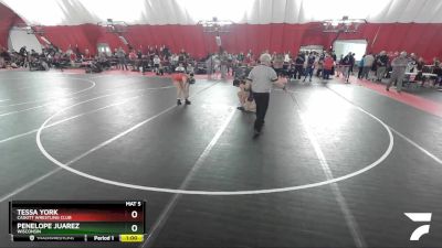 110-119 lbs Round 1 - Penelope Juarez, Wisconsin vs Tessa York, Cadott Wrestling Club