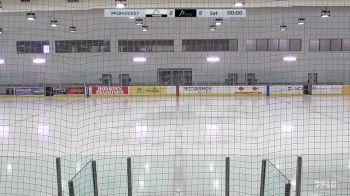 Replay: Home - 2025 Tigers vs Bears | May 11 @ 8 PM