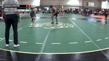 174 lbs Cons. Round 3 - Damiano Cappellini, UW Parkside vs Emilio Arellano, Tiffin