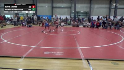 95 lbs Consi Of 4 - Blake Andres, Accident vs Hayden Rodeheaver, Hanover