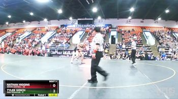 132 lbs Quarterfinals (8 Team) - Nathan Higgins, Benzie Central vs Tyler Winch, Iron Mountain