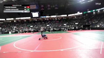 120 lbs Champ. Round 1 - Tanner Ostgaard, Unattached vs Colton Marino, SVW3