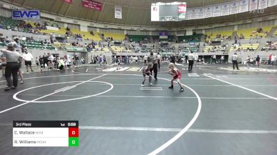 45-50 lbs 3rd Place - Callie Wallace, Beebe Badgers Wrestling Club vs RuthAnne Williams, Mountain Home Flyers Youth Wrestling Club