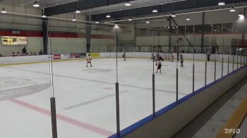 Replay: Home - 2023 Reapers U10 vs Canucks U10 | Nov 25 @ 10 AM