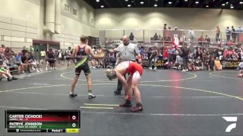 125 lbs Round 2 (6 Team) - Patryk Johnson, Beast Mode WA Green vs Carter Cichocki, Lowell WC