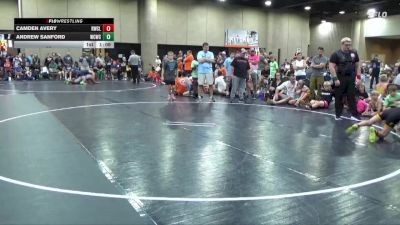 80 lbs Round 5 (6 Team) - Camden Avery, Rabbit WC vs Andrew Sanford, Williamson County WC