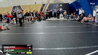 138 lbs Finals (2 Team) - Mason Artino, Lake WC vs Tyler Ulmer, Ohio Storm