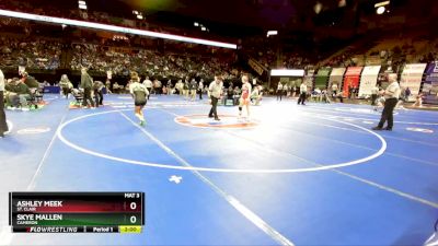 110 Class 1 lbs Champ. Round 1 - Ashley Meek, St. Clair vs Skye Mallen, Cameron