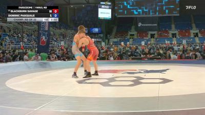 106 lbs Champ. Rd Of 32 - Blackburn Savage, OH vs Dominic Pasquale, IL