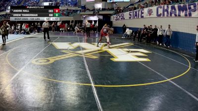 120 lbs Semifinal - Andre Hall, Chester vs Drew Timmerman, Ninety Six