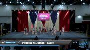 Prodigy All Stars - Cadet [2021 L1 Youth - Medium Day 2] 2021 The American Spectacular DI & DII