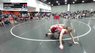 215 lbs Colton Jarecki, Team Nebraska vs Liam O'Neil, Team Michigan - Blue