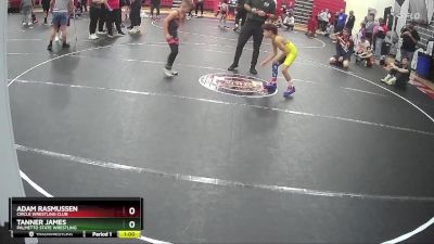 61 lbs Round 5 - Tanner James, Palmetto State Wrestling vs Adam Rasmussen, Circle Wrestling Club