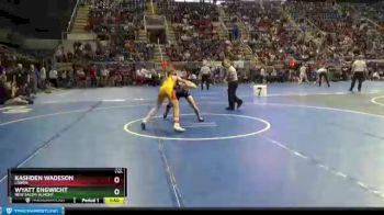 120 lbs Semifinal - Wyatt Engwicht, New Salem-Almont vs Kashden Wadeson, Lisbon