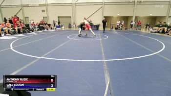 132 lbs Round 2 (8 Team) - Anthony Ruzic, Illinois vs Cale Seaton, Iowa