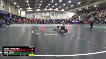 138 lbs Semis & 1st Wrestleback (8 Team) - Cole Toline, Lincoln East vs Jaden McFarland, Columbus