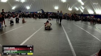 60 lbs Round 3 (10 Team) - Chase Adams, Michigan Gold Pittbulls vs Conner Walker, Rising Kingz Gold