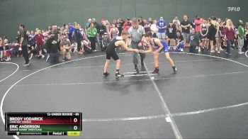 85 lbs Semifinal - Brody Vodarick, Cane Bay Cobras vs Eric Anderson, Swamp Rabbit Wrestling