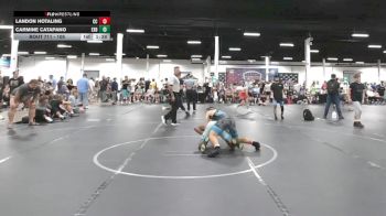 105 lbs Quarterfinal - Landon Hotaling, Clever Combat vs Carmine Catapano, Barn Brothers