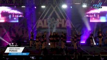 Fierce Idaho - Pumas [2025 L2 Senior - Small Day 1] 2025 Aloha Grand Nationals
