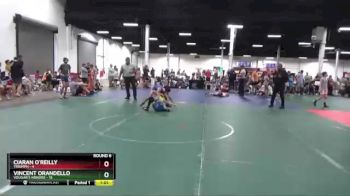 88 lbs Round 6 (8 Team) - Ciaran O`Reilly, Triumph vs Vincent Orandello, Vougar`s Honors