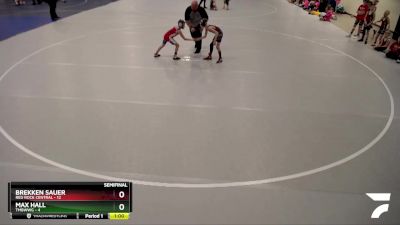 65 lbs Semis (4 Team) - Max Hall, TMBWWG vs Brekken Sauer, Red Rock Central