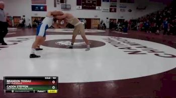 184 lbs Quarterfinal - Caden Steffen, Southwest Minnesota State vs Brandon Tessau, UW - Platteville