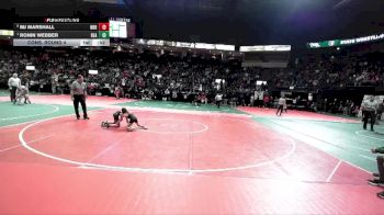 65 lbs Cons. Round 4 - Mj Marshall, NBHA vs Ronin Webber, BEASTA