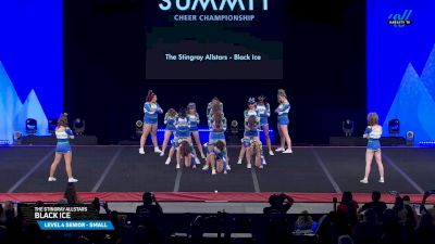 The Stingray Allstars - Black Ice [2025 L4 Senior - Small Semis] 2025 The Summit
