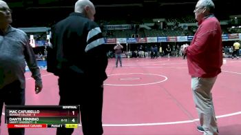 125 lbs Semis (4 Team) - Jude Robson, Roanoke College vs Dante Minnino, Liberty University