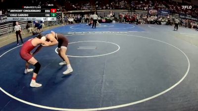 D 1 157 lbs Cons. Round 4 - Anthony Cinquemano, Brother Martin vs Cole Caruso, Chalmette