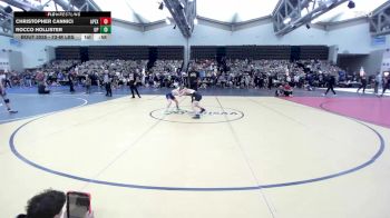 73-M lbs Quarterfinal - Christopher Cannici, Apex vs Rocco Hollister, Upper Perkiomen