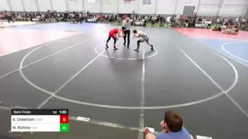 120 lbs Semifinal - Alyssa Cheetham, Cobra vs Michael Richins, Thatcher Eagles