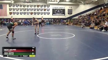 132 lbs Quarterfinal - Ricky Holmes, Walsh Jesuit vs Niko Giatis, Medina Highland