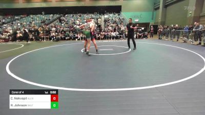 165 lbs Consi Of 4 - Carter Nekvapil, Allen vs Riley Johnson, Skutt Catholic