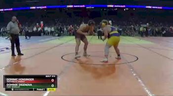 D2-285 lbs Cons. Round 3 - Dominik DiGenova, Flint Kearsley vs Dominic Honsinger, Western HS (Parma)