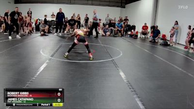 68 lbs Finals (2 Team) - Robert Gibbs, Backyard Brawlers vs James Catapano, Mat Assassins