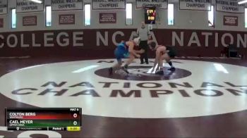 174 lbs Quarterfinal - Colton Berg, Wartburg vs Cael Meyer, Upper Iowa