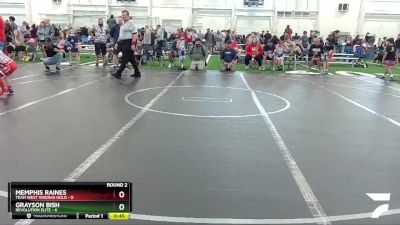 48 lbs Round 2 (6 Team) - Memphis Raines, Team West Virginia Gold vs Grayson Bish, Revolution Elite